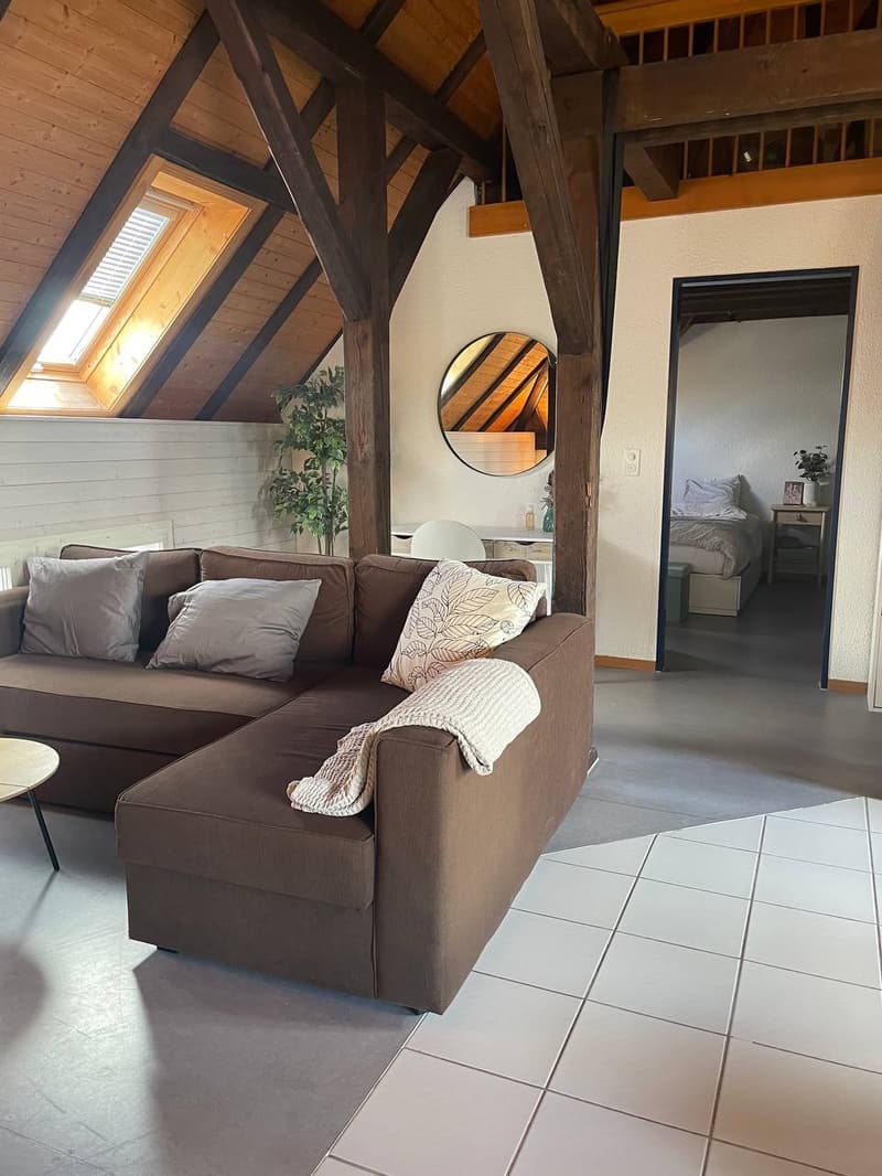 Möblierte 2.5-Zimmer-Wohnung mit grosser Dachterrasse in Zürich Wiedikon Januar bis Anfang Mai (6)