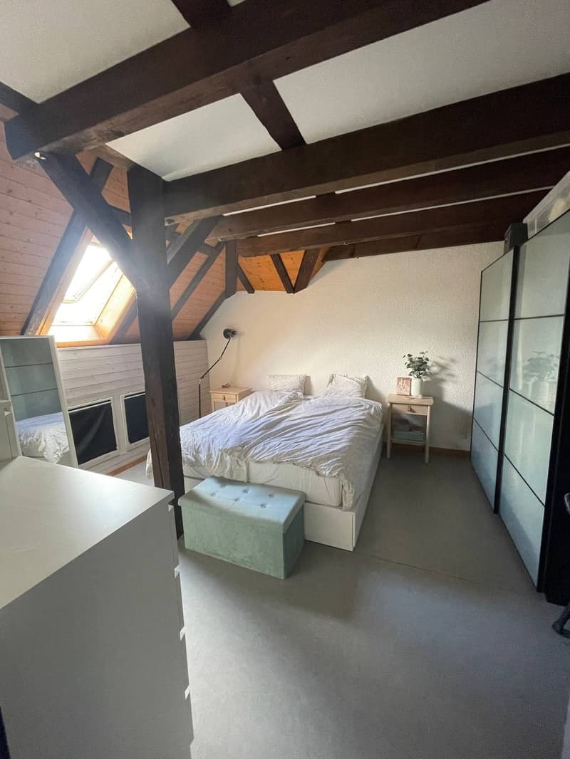 Möblierte 2.5-Zimmer-Wohnung mit grosser Dachterrasse in Zürich Wiedikon Januar bis Anfang Mai (7)