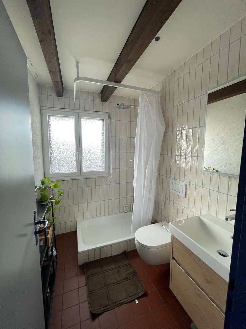 Möblierte 2.5-Zimmer-Wohnung mit grosser Dachterrasse in Zürich Wiedikon Januar bis Anfang Mai (8)