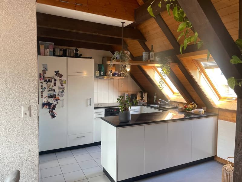 Möblierte 2.5-Zimmer-Wohnung mit grosser Dachterrasse in Zürich Wiedikon Januar bis Anfang Mai (4)
