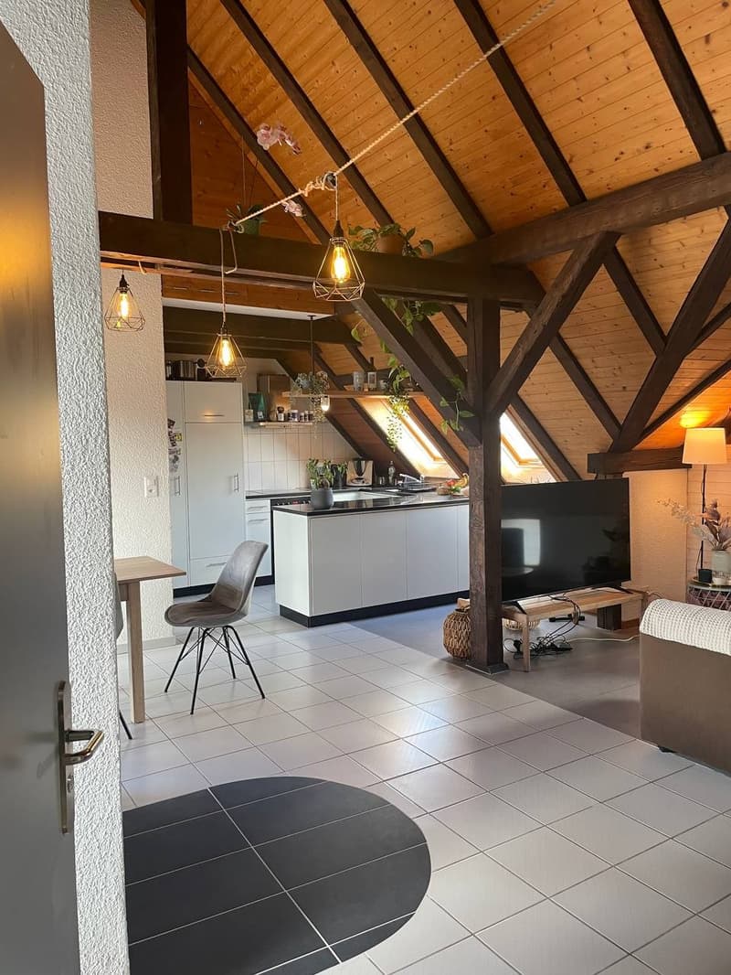 Möblierte 2.5-Zimmer-Wohnung mit grosser Dachterrasse in Zürich Wiedikon Januar bis Anfang Mai (1)