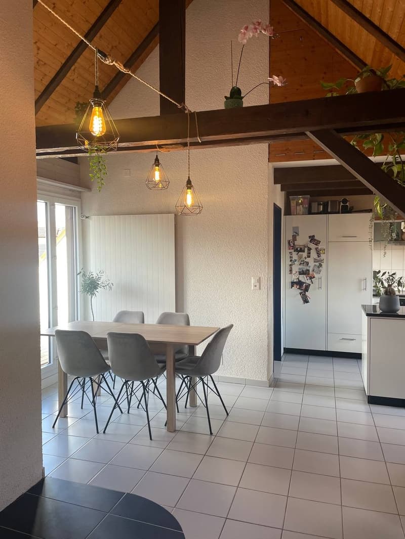 Möblierte 2.5-Zimmer-Wohnung mit grosser Dachterrasse in Zürich Wiedikon Januar bis Anfang Mai (5)