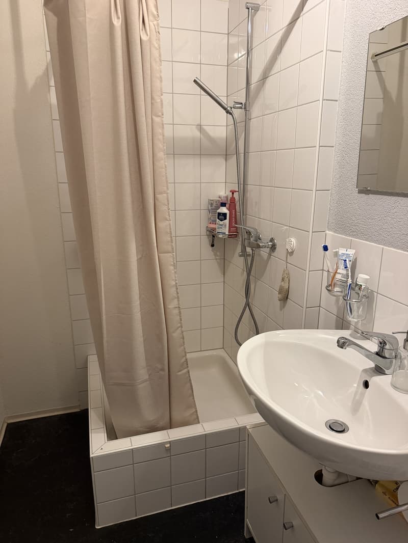WG-Zimmer in zentraler Lage (9)