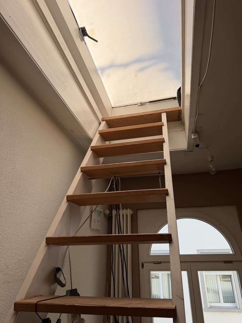 WG-Zimmer in zentraler Lage (10)