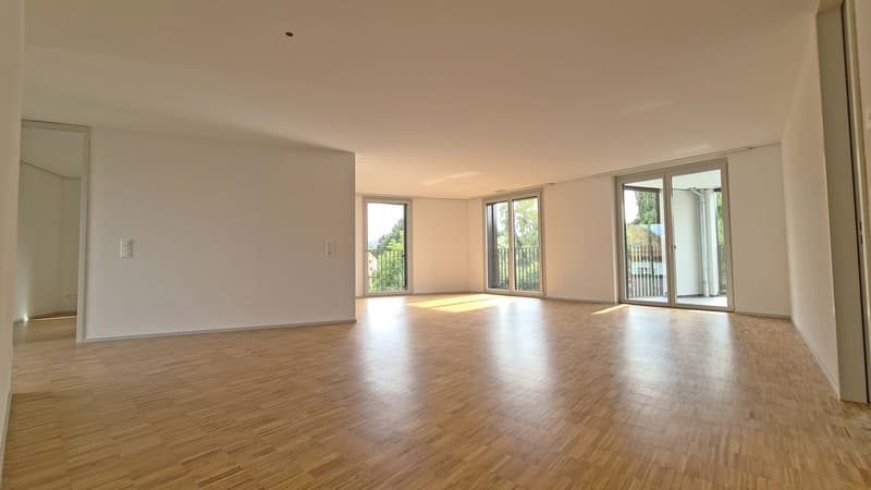 Helle und grosszügige 4.5-Zimmer-Wohnung in Zürich-Seebach (6)