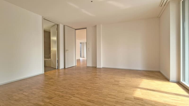 Helle und grosszügige 4.5-Zimmer-Wohnung in Zürich-Seebach (1)