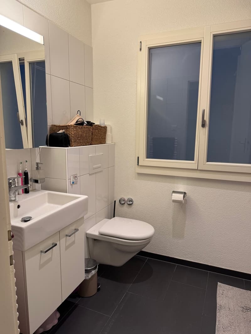 2 ½ rooms apartment, 3007 Bern (11)