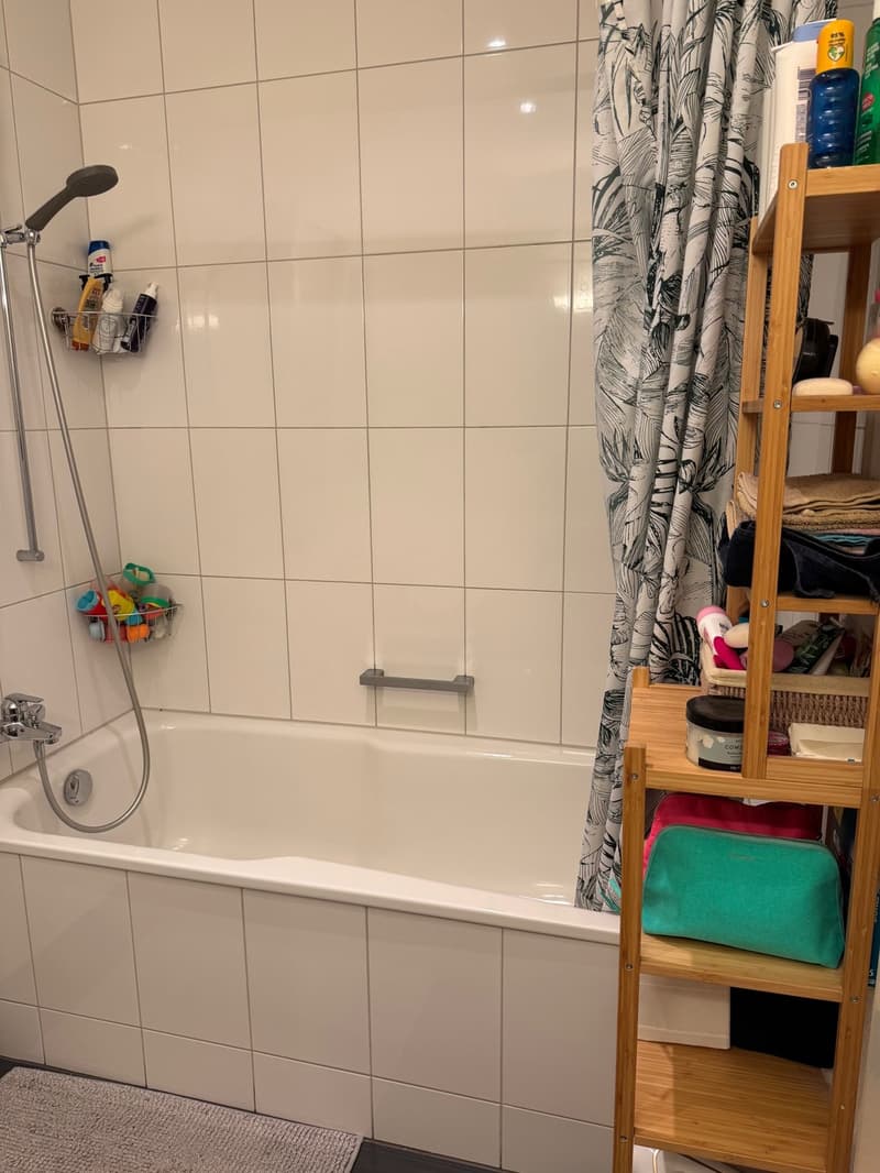 2 ½ rooms apartment, 3007 Bern (12)