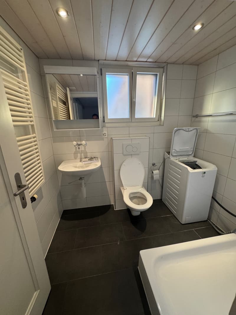 Thunersee, ÖV und Einkauf vor der Tür helle 2.5-Zimmerwohnung (6)