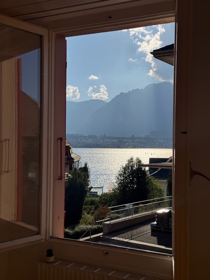 Thunersee, ÖV und Einkauf vor der Tür helle 2.5-Zimmerwohnung (3)