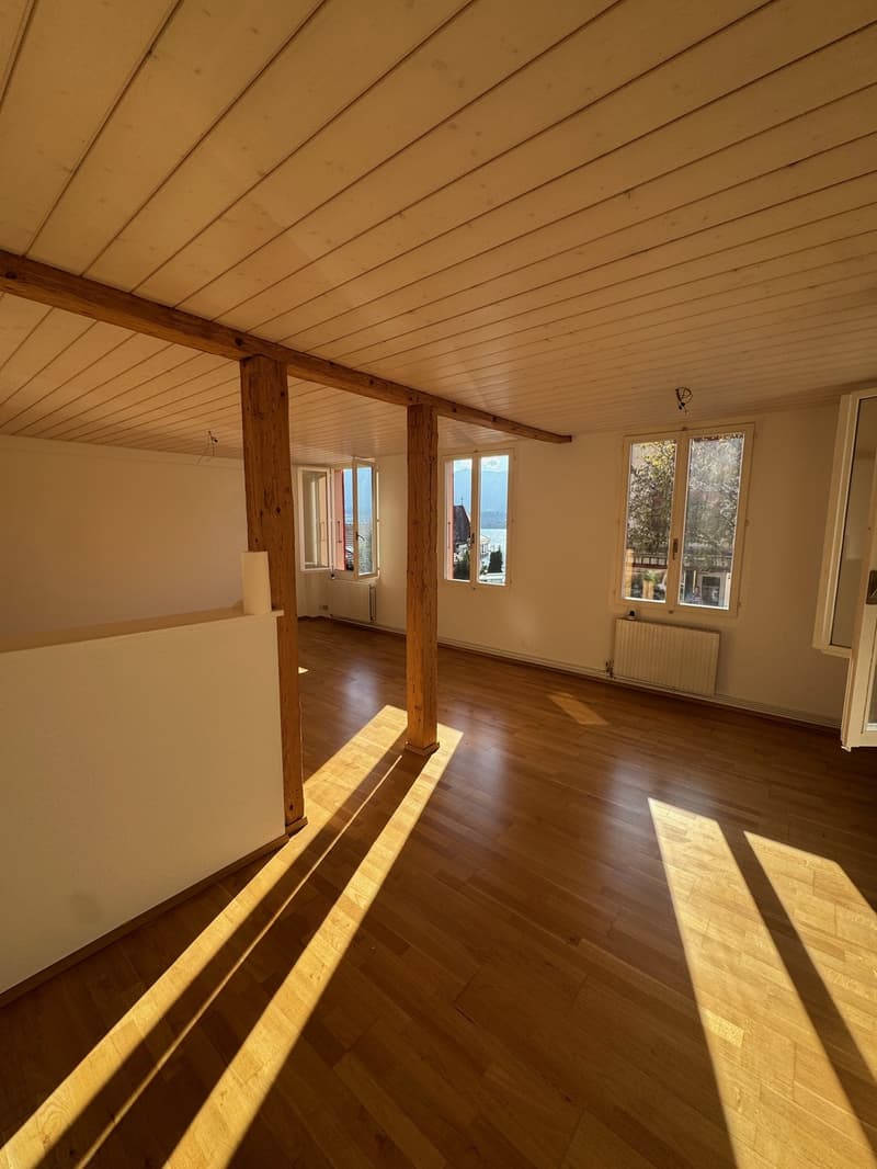 Thunersee, ÖV und Einkauf vor der Tür helle 2.5-Zimmerwohnung (4)