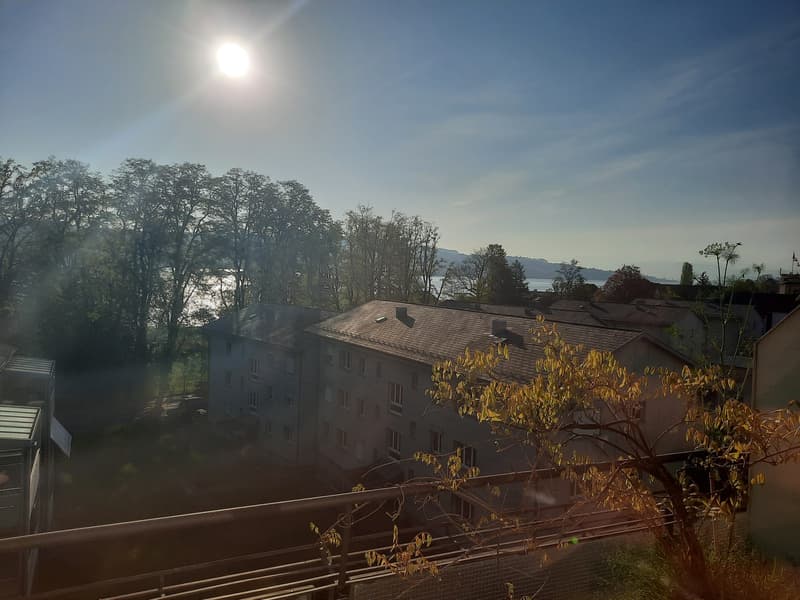 Wunderschöne 65 m² Wohnung in Kilchberg Bendlikon  Untervermietung für 2 Jahre (7)