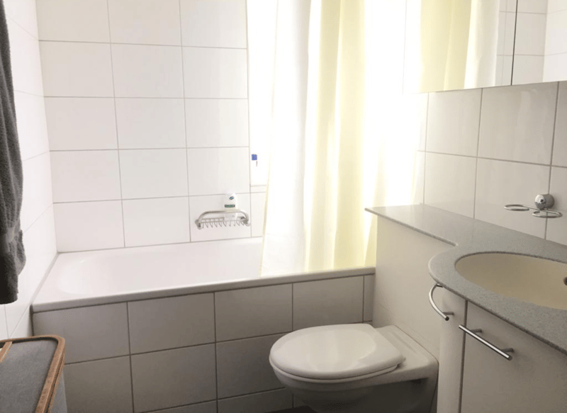 Wunderschöne 65 m² Wohnung in Kilchberg Bendlikon  Untervermietung für 2 Jahre (4)