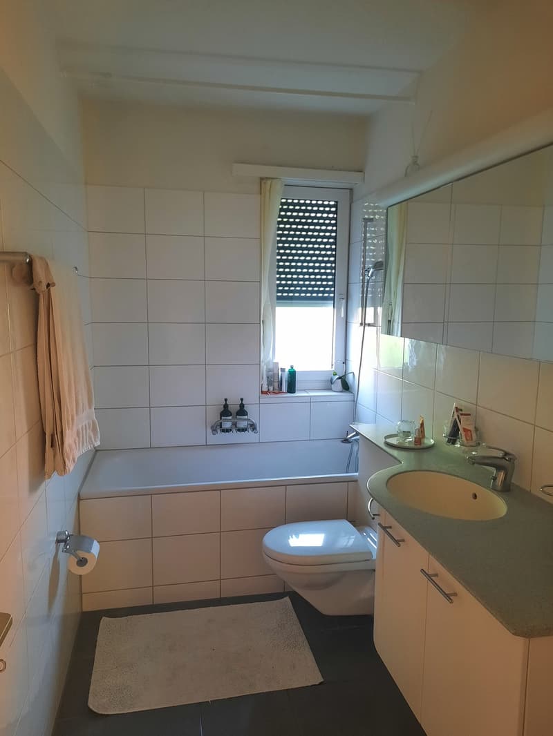 Wunderschöne 65 m² Wohnung in Kilchberg Bendlikon  Untervermietung für 2 Jahre (3)