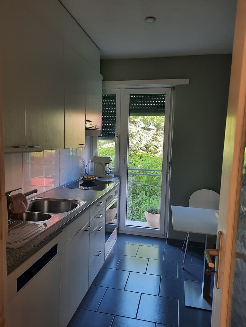Wunderschöne 65 m² Wohnung in Kilchberg Bendlikon  Untervermietung für 2 Jahre (5)