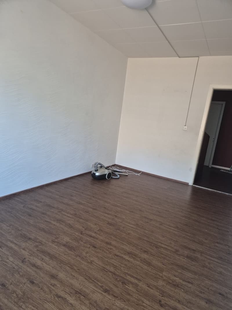 4,5 Z zum vermieten (9)