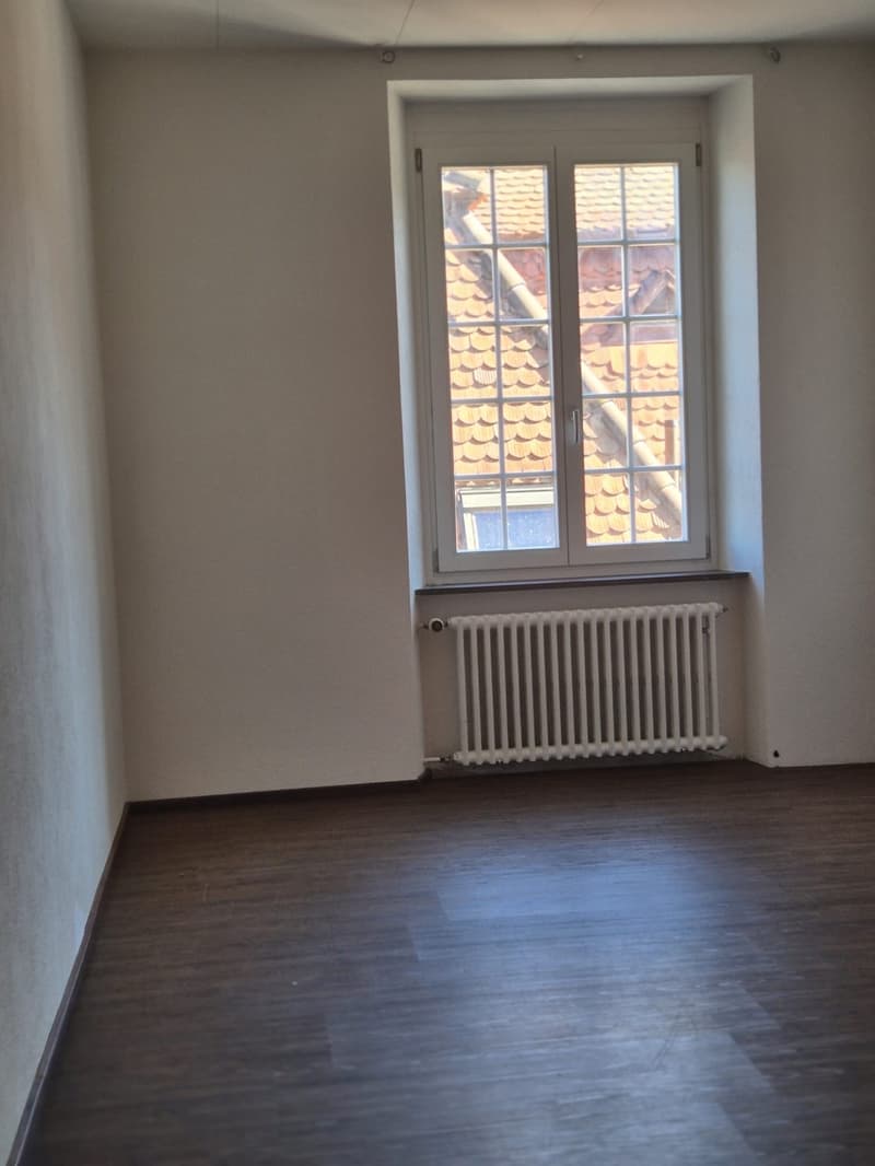 4,5 Z zum vermieten (7)