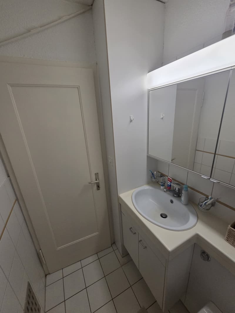 Traumhaftes WG-Zimmer in Zollikon mit eigenem Seezugang & Top-Anbindung (800 CHF) (6)