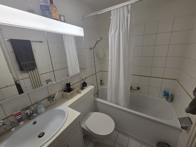 Traumhaftes WG-Zimmer in Zollikon mit eigenem Seezugang & Top-Anbindung (800 CHF) (5)