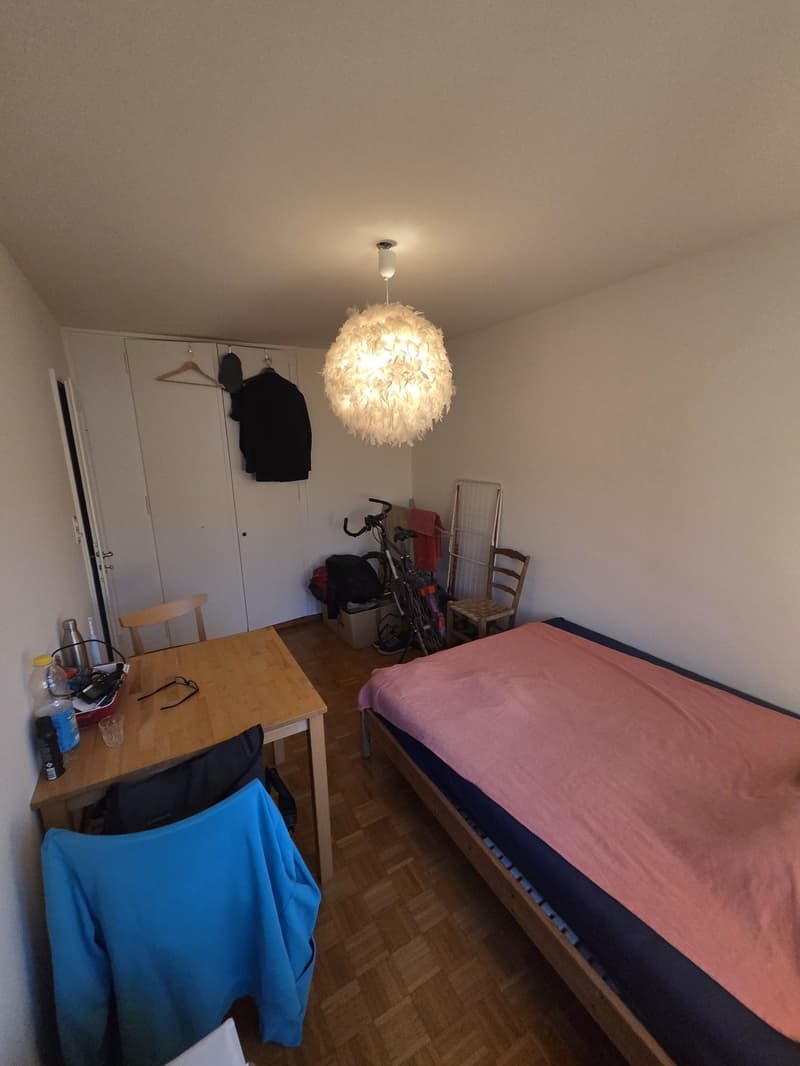 Traumhaftes WG-Zimmer in Zollikon mit eigenem Seezugang & Top-Anbindung (800 CHF) (3)