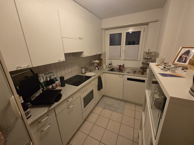 Traumhaftes WG-Zimmer in Zollikon mit eigenem Seezugang & Top-Anbindung (800 CHF) (4)