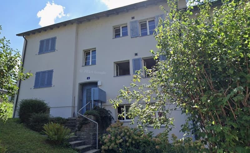 Traumhaftes WG-Zimmer in Zollikon mit eigenem Seezugang & Top-Anbindung (800 CHF) (8)