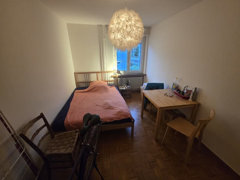 Traumhaftes WG-Zimmer in Zollikon mit eigenem Seezugang & Top-Anbindung (800 CHF) (2)