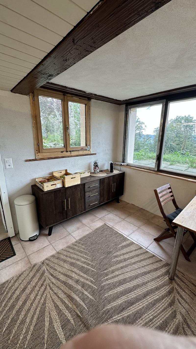 Studio auf der KraftAlp (4)