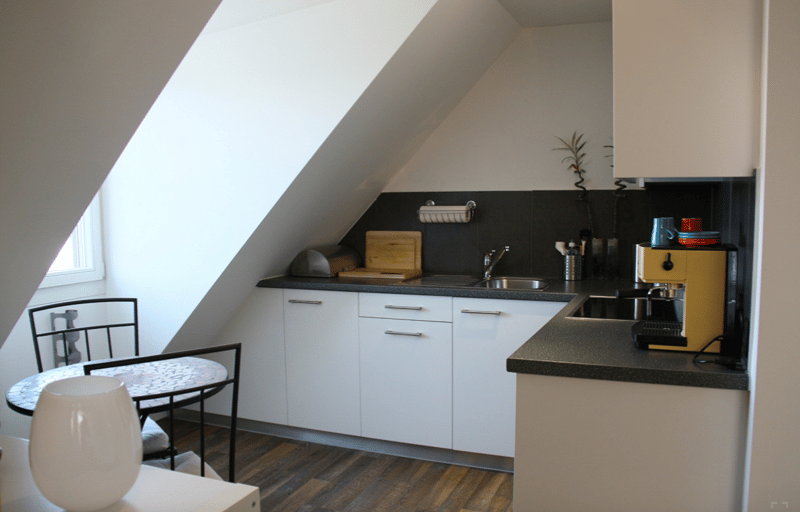 1 Zimmer Dachwohnung mit Dachterasse (4)