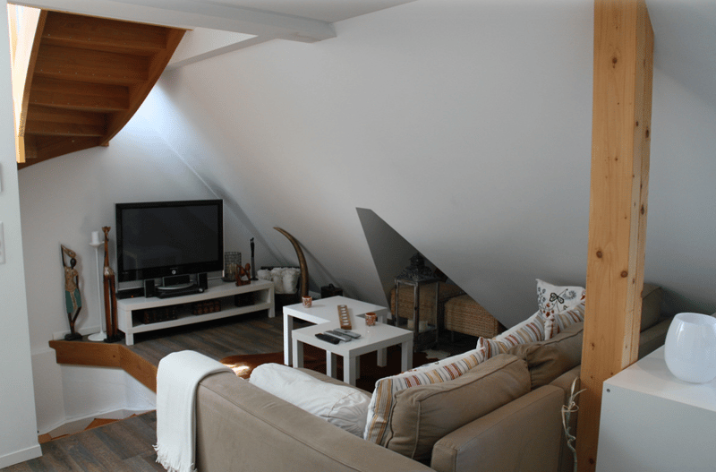 1 Zimmer Dachwohnung mit Dachterasse (1)