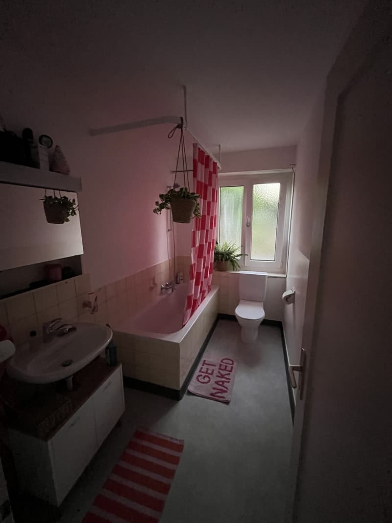 Wohnung zur Zwischenmiete (4)