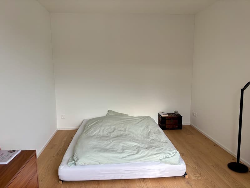 Möblierte 2.5-Zimmer-Neubauwohnung in Zürich-Binz zur Zwischenmiete (1.12.26- bis Ende Februar oder Ende März) (2)