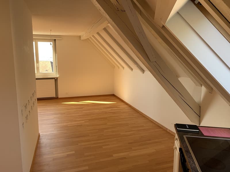 Bright attic flat on Sonnenberg with lake view (until 31.12.2029) (6)
