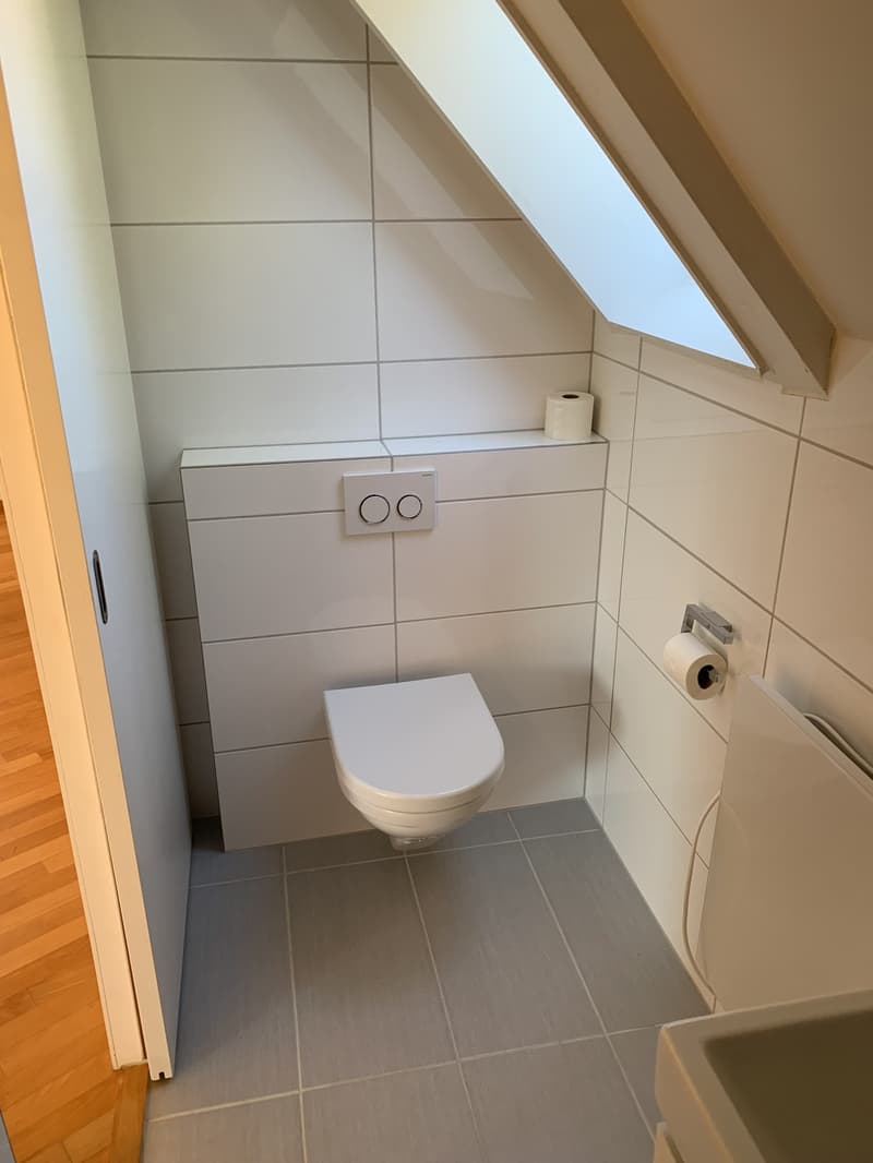 Bright attic flat on Sonnenberg with lake view (until 31.12.2029) (8)
