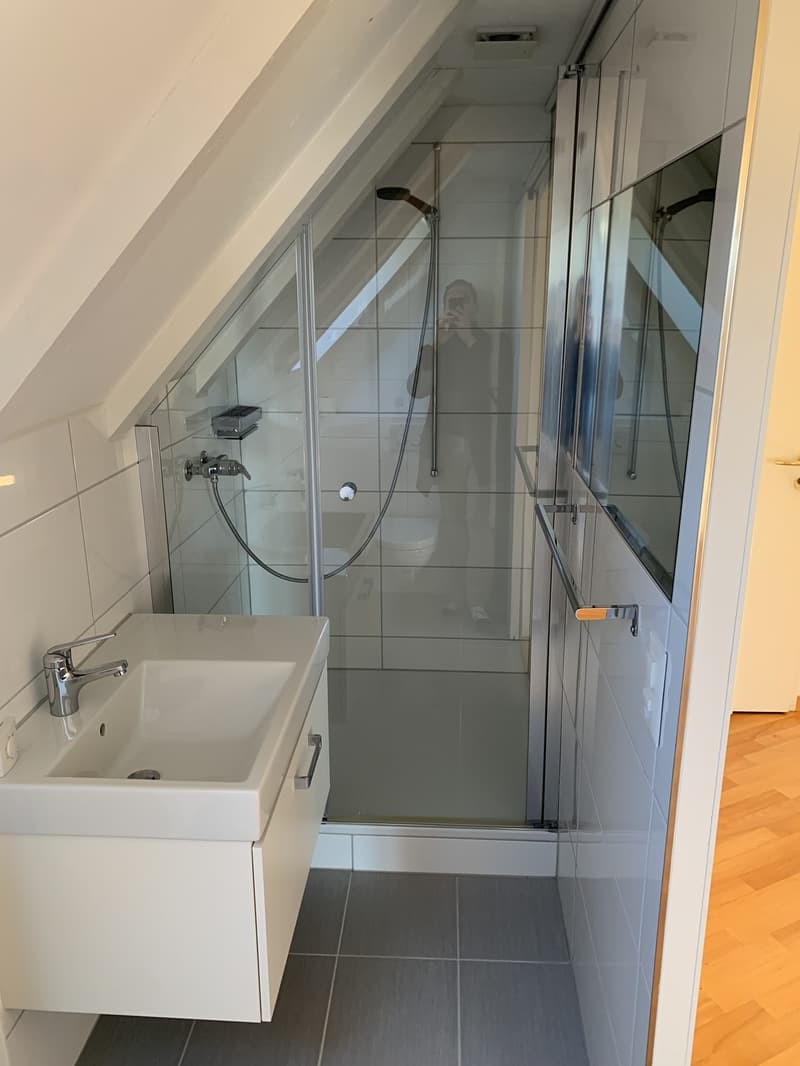 Bright attic flat on Sonnenberg with lake view (until 31.12.2029) (9)