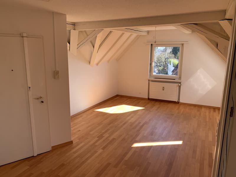 Bright attic flat on Sonnenberg with lake view (until 31.12.2029) (3)