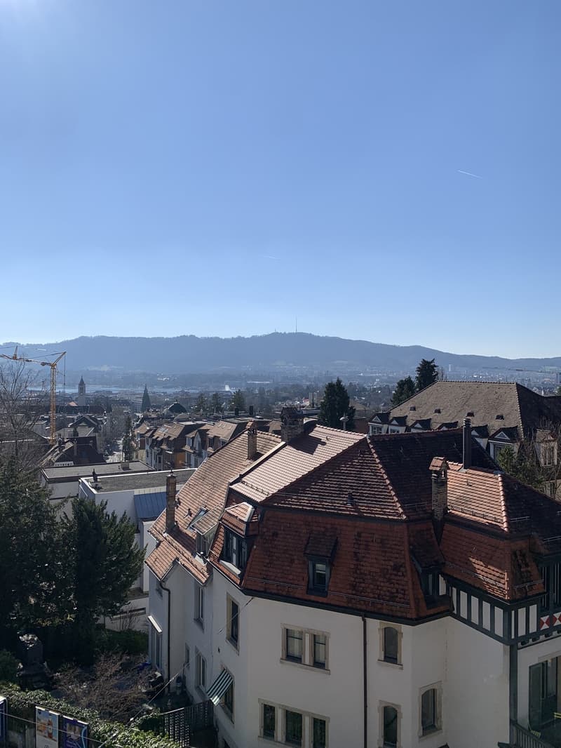 Bright attic flat on Sonnenberg with lake view (until 31.12.2029) (2)