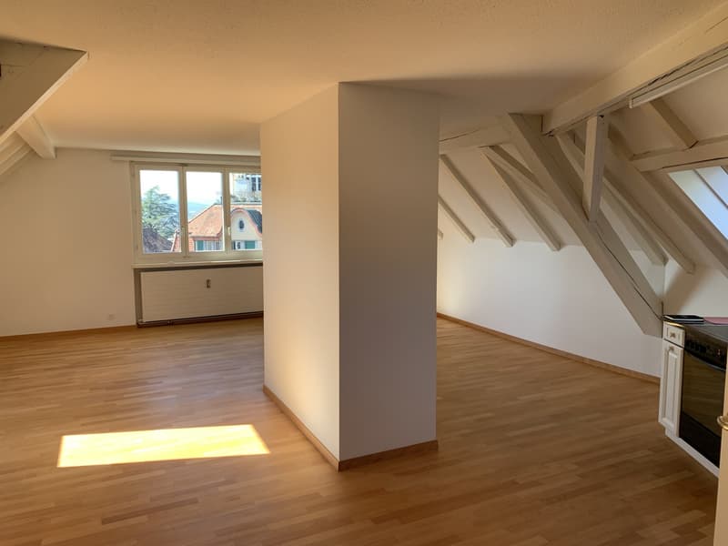 Bright attic flat on Sonnenberg with lake view (until 31.12.2029) (4)