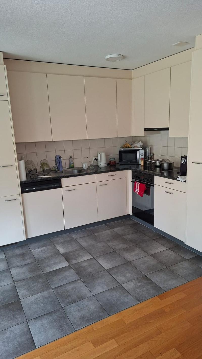 Schöne 2,5-Zimmerwohnung zur Untermiete in Zürich-Wipkingen (5)