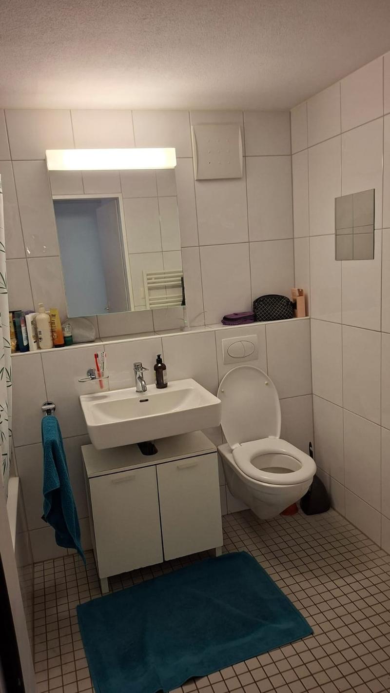 Schöne 2,5-Zimmerwohnung zur Untermiete in Zürich-Wipkingen (4)