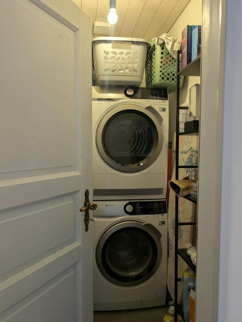Lichtdurchflutete 3.5 Zimmer-Wohnung mieten (10)