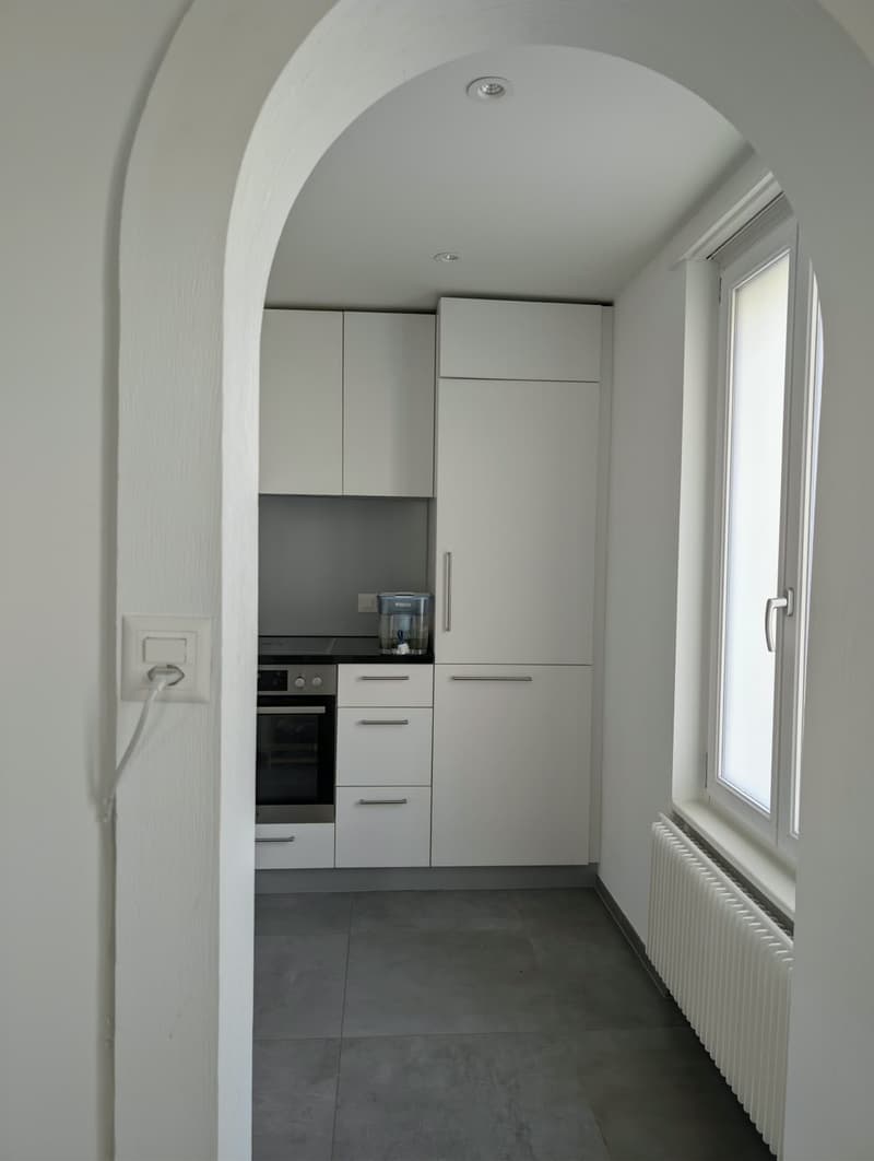 Lichtdurchflutete 3.5 Zimmer-Wohnung mieten (8)