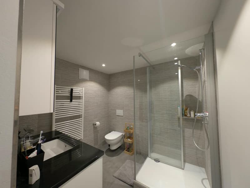 Lichtdurchflutete 3.5 Zimmer-Wohnung mieten (5)