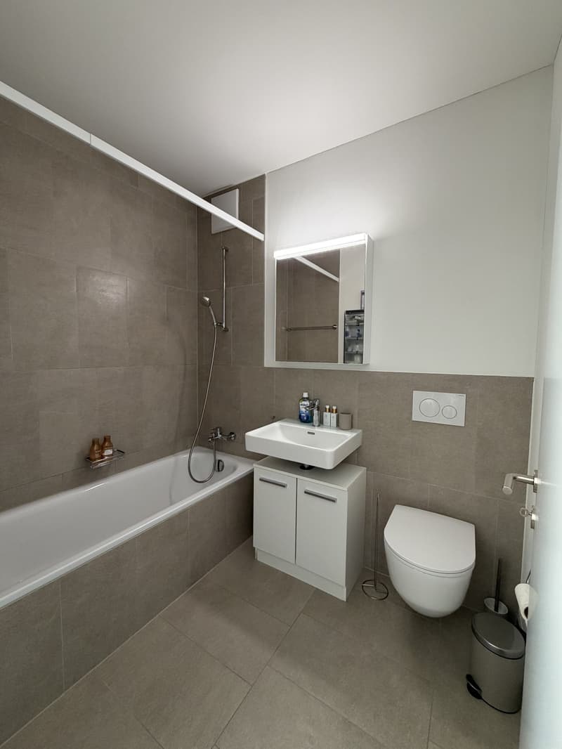 Zentrale 3.5-Zimmerwohnung in Dübendorf (4)
