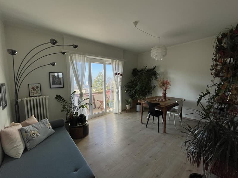 Appartement 2,5 pièces à Lausanne disponible en semaine (lun-jeu) (1)