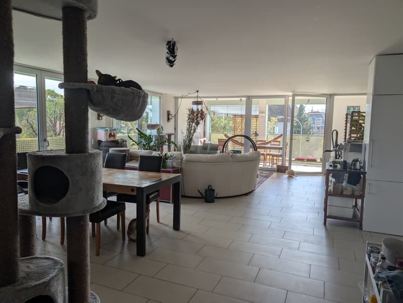 WG-Zimmer in Bülach  14 m², möbliert, eigenes Bad, ab Januar 2027 (4)
