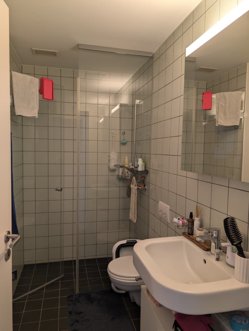 WG-Zimmer in Bülach  14 m², möbliert, eigenes Bad, ab Januar 2027 (3)