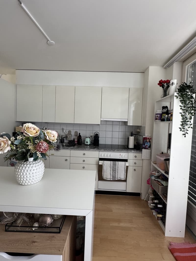 1.5-Zimmer-Wohnung mit grosser Terrasse in Dättwil / Baden (3)