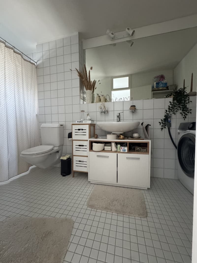 1.5-Zimmer-Wohnung mit grosser Terrasse in Dättwil / Baden (2)