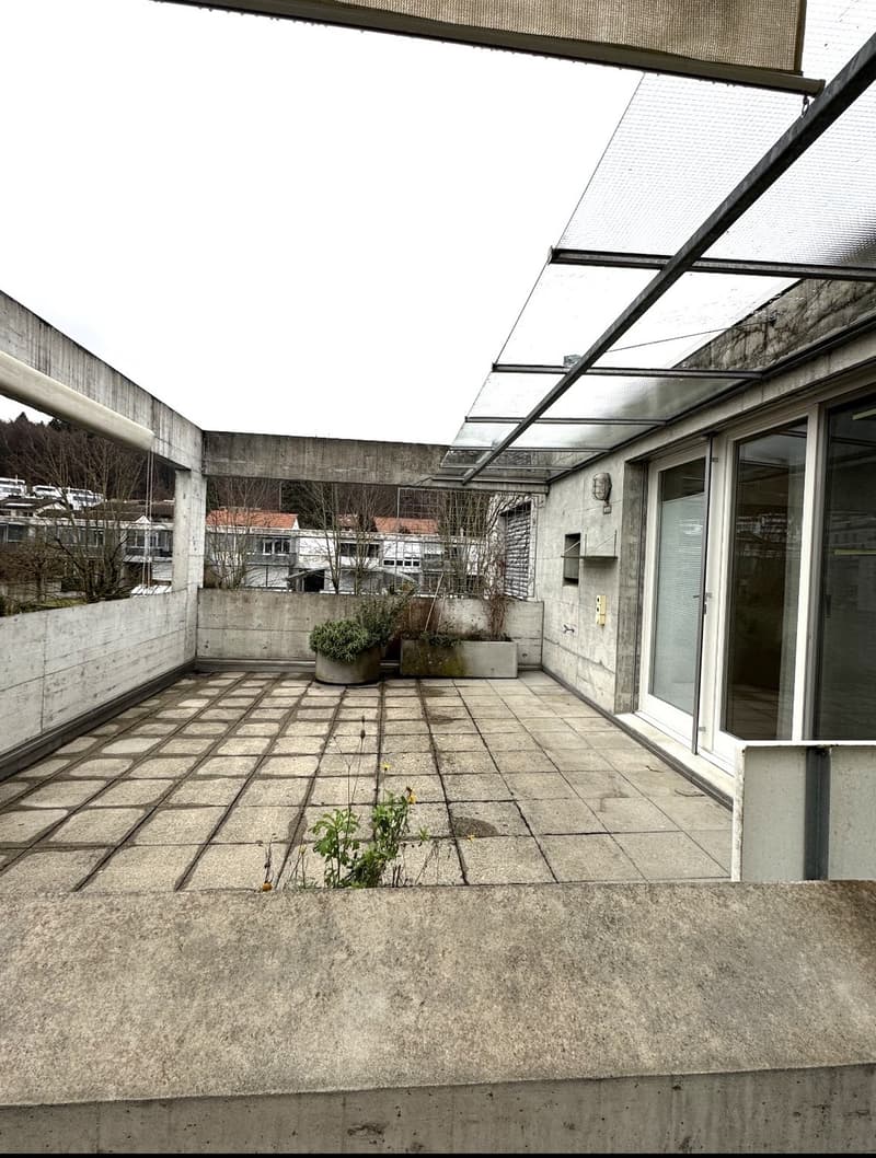 1.5-Zimmer-Wohnung mit grosser Terrasse in Dättwil / Baden (4)